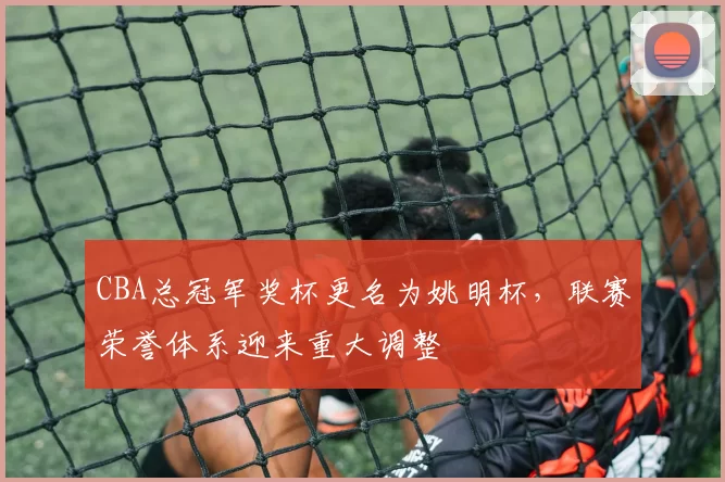 CBA总冠军奖杯更名为姚明杯，联赛荣誉体系迎来重大调整