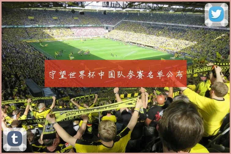 守望世界杯中国队参赛名单公布