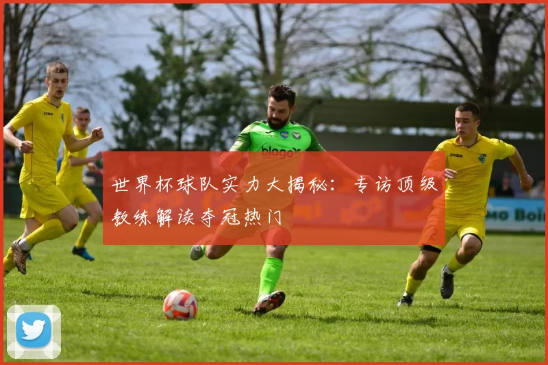 世界杯球队实力大揭秘：专访顶级教练解读夺冠热门