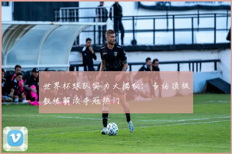 世界杯球队实力大揭秘：专访顶级教练解读夺冠热门