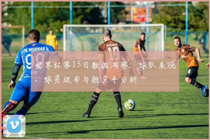 世界杯第15日数据洞察：球队表现、球员效率与胜负手分析