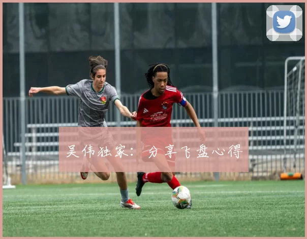 吴伟独家：分享飞盘心得