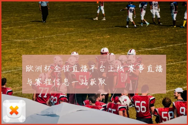 欧洲杯全程直播平台上线 赛事直播与赛程信息一站获取