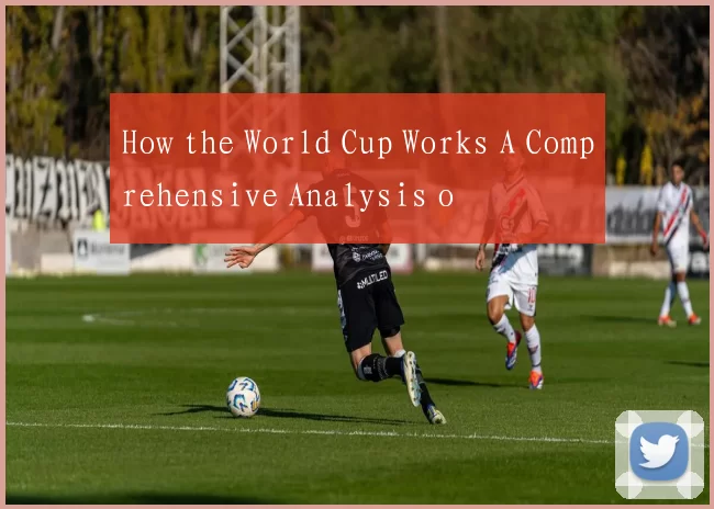 How the World Cup Works A Comprehensive Analysis o
