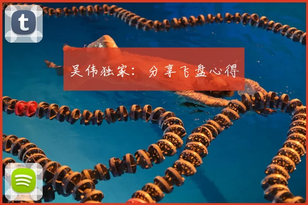 吴伟独家:分享飞盘心得