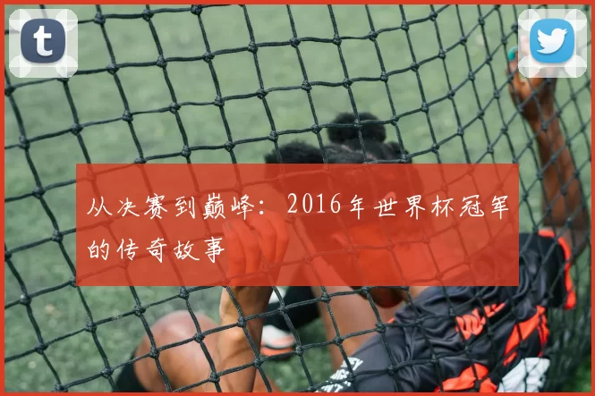从决赛到巅峰：2016年世界杯冠军的传奇故事