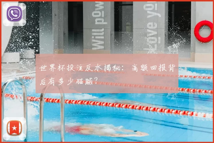 世界杯投注反水揭秘：高额回报背后有多少猫腻？