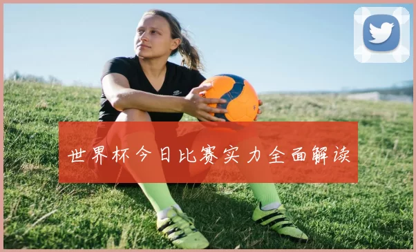 世界杯今日比赛实力全面解读