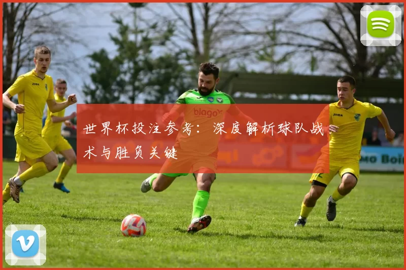 世界杯投注参考：深度解析球队战术与胜负关键